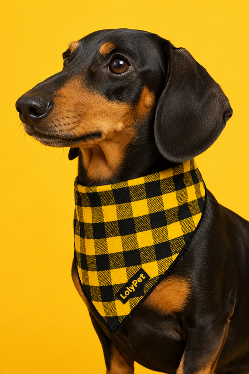 Bandana - Xadrez