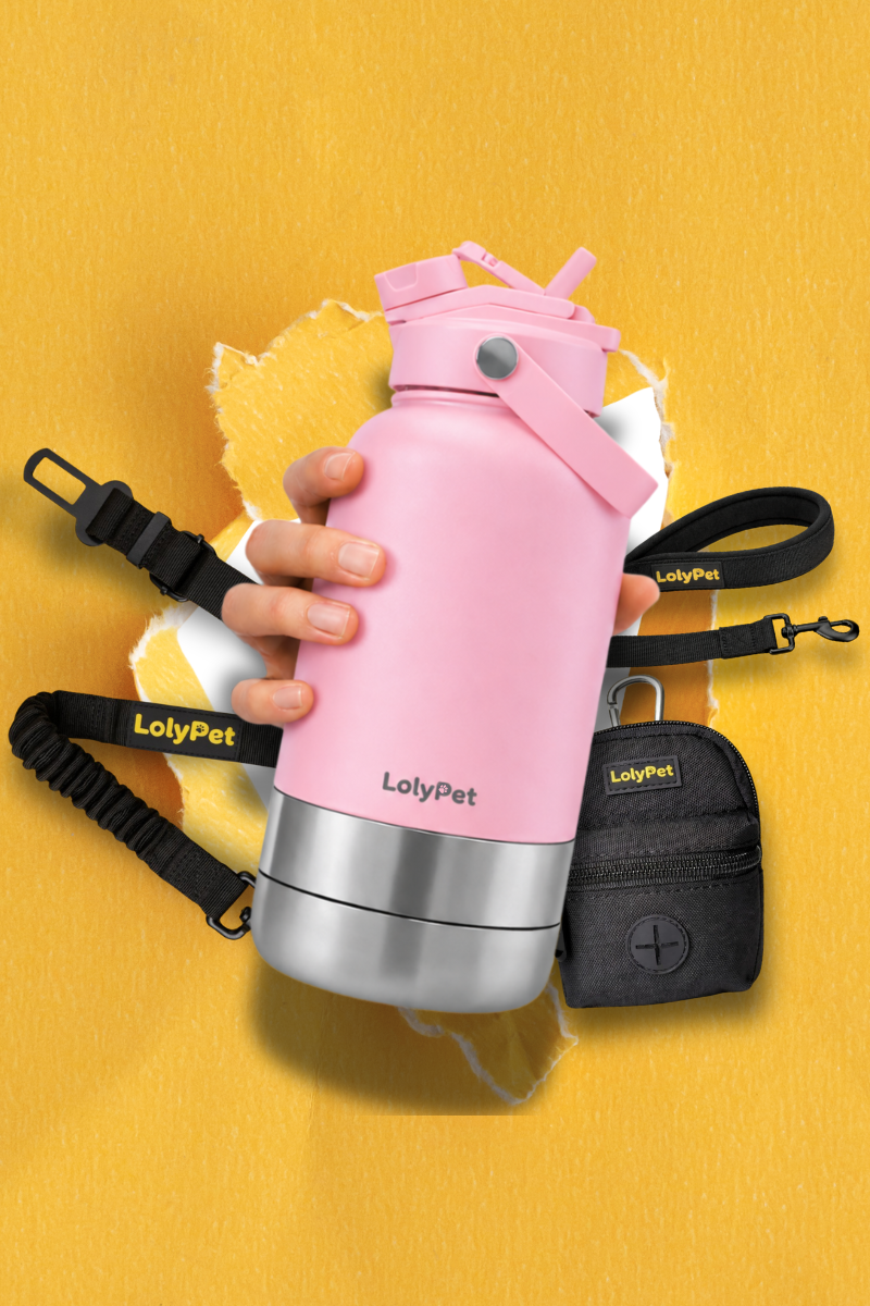 LolLolypet_Travel_Pack_Cor_Rosa