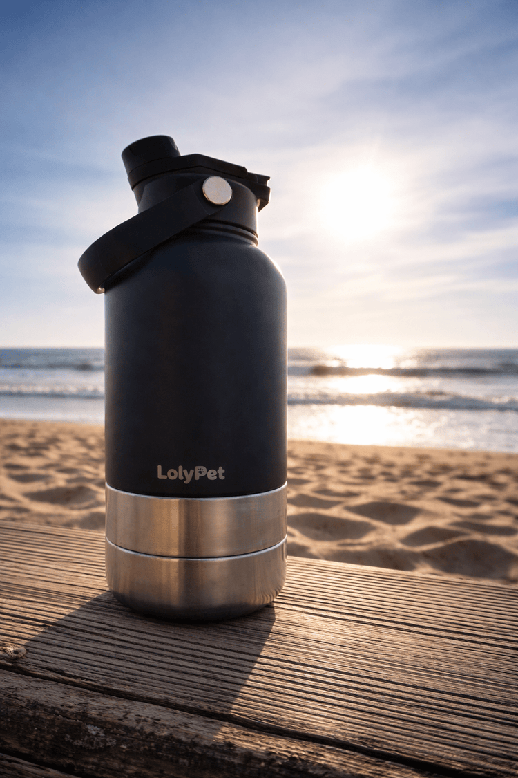 LolyPet_ Black Bottle  3 in 1