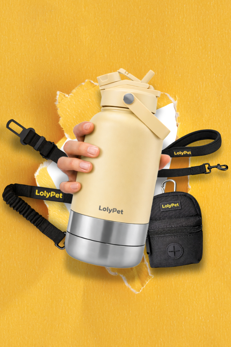 LolyPet_Travel_Pack_Garrafa_Amarela